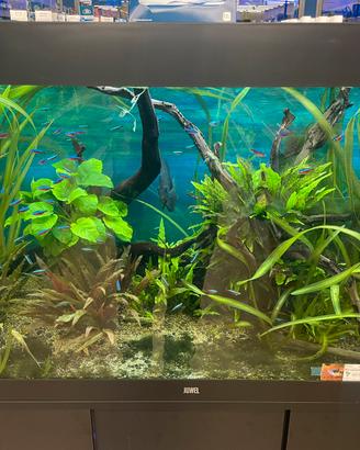 Acquario Juwel Rio 180 Led