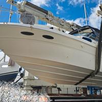 Sea Ray 310 Sundancer + 2x250 hp Mercruiser