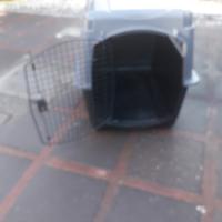 trasportino cane