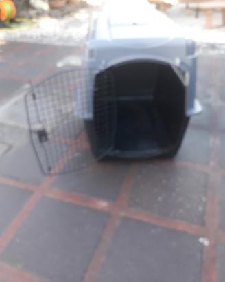 trasportino cane
