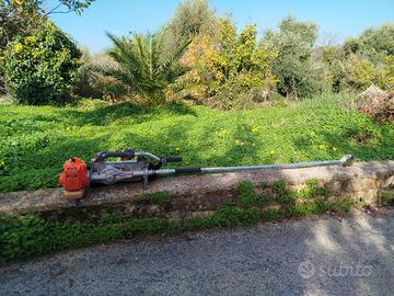 scuotitore a scoppio Oleomac 