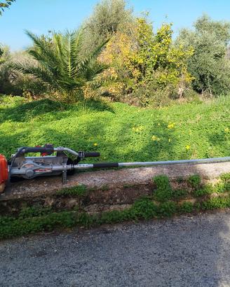 scuotitore a scoppio Oleomac 