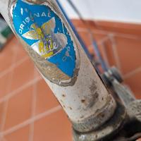 Willer Triestina bici corsa 