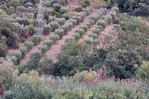 Terreno Sant'Alessio