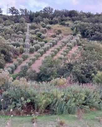 Terreno Sant'Alessio