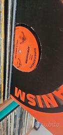 Dischi in vinile.