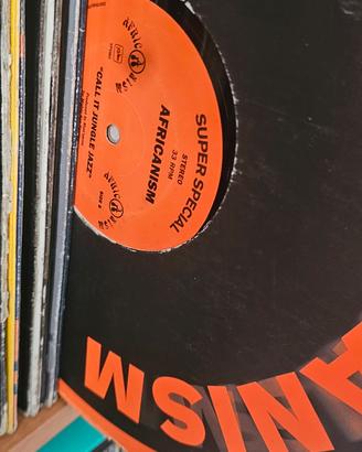 Dischi in vinile.