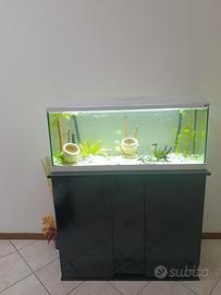 acquario iseo 100 con mobile e/o pesci