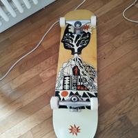skateboard professionale