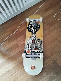 skateboard professionale