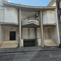 Indipendente con garage e giardino