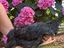 Immagine 5