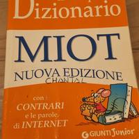 dizionario