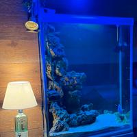 acquario accessori e plafoniere