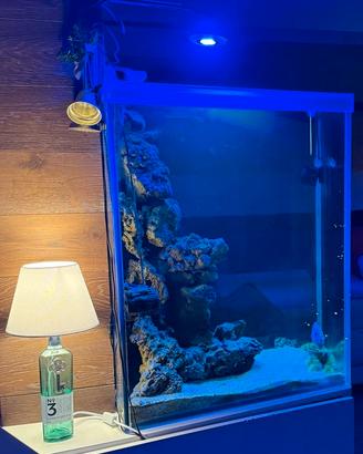 acquario accessori e plafoniere