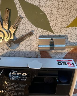 Cilindro europeo per blindato ISEO R6 Plus