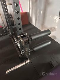 LEG EXTENSION / CURL PRO LACERTOSUS