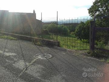 Terreno Solopaca (BN)