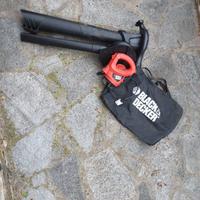 Aspiratore soffiatore Black & Decker 2200W