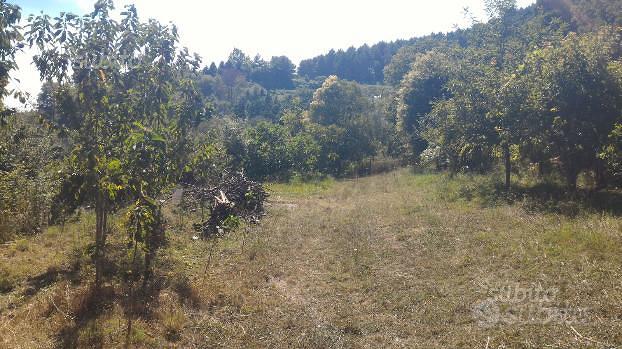 Vendita terreno - Vista 2