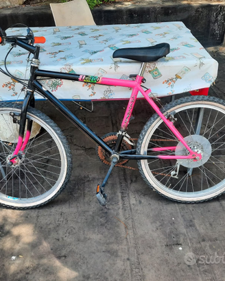 BICICLETTA PER RAGAZZI COME DA FOTO