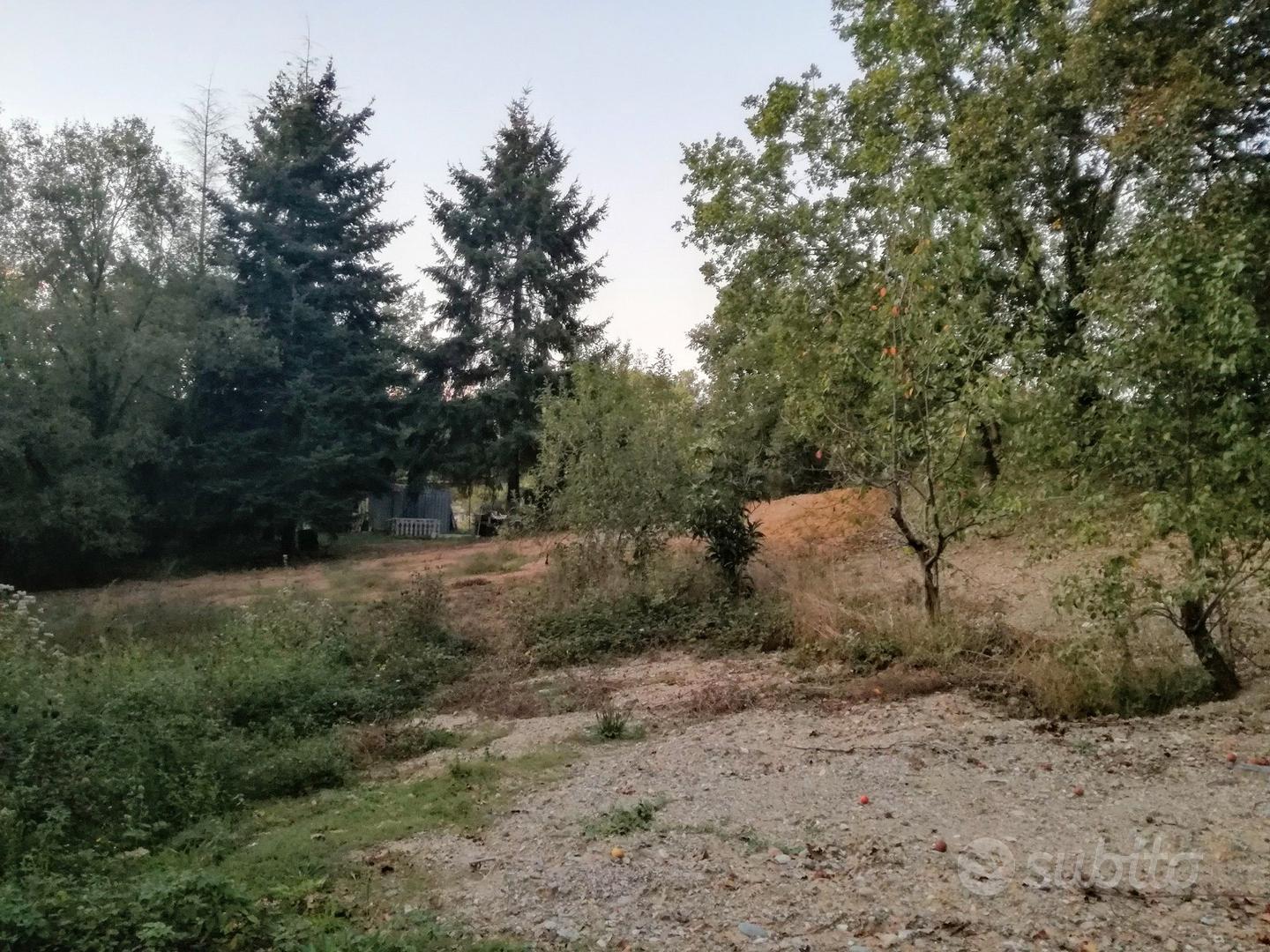 Vendita terreno rogliano (cs) - Vista 3