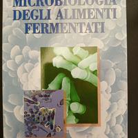 Microbiologia degli alimenti fermentati