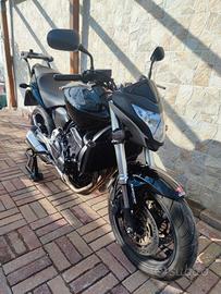 Honda Hornet 600 (2011) - Perfetta