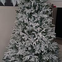 Albero di Pino innevato.