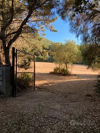 Terreno in montagna con costruzione