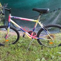Bicicletta Torpado Mountain Bike 24