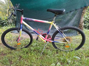 Bicicletta Torpado Mountain Bike 24