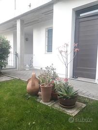 Trilocale con giardino esclusivo e posto auto