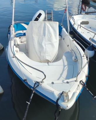 RANIERI AZZURRA SPECIAL EDITION + 40HP HONDA