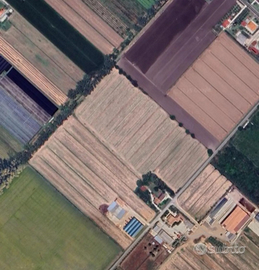 Terreno agricolo a 15 min dal centro di latina