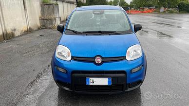 Fiat Pandina