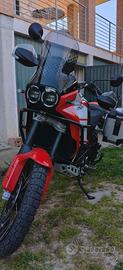 DUCATI DESERTX DISCOVERY 