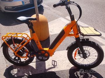 bicicletta elettrica 