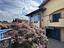 Immagine 27