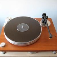Acoustic Solid 111 wood