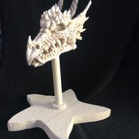 Teschio di Drago Replica Cranio su base 31 CM
