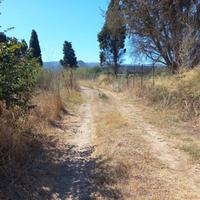 Villamassargia - Terreno mq. 2115