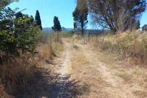 Villamassargia - Terreno mq. 2115