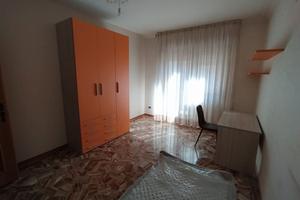 Studenti universitari