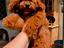 Immagine 1