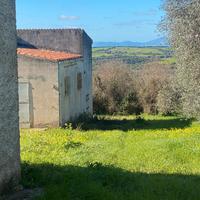 Tenuta agricola immersa nel verde