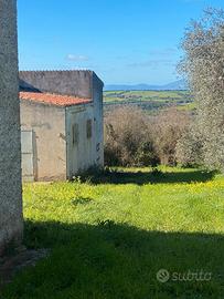Tenuta agricola immersa nel verde