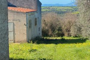 Tenuta agricola immersa nel verde