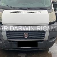 Fiat Ducato anno 2008