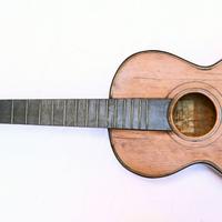 Chitarra acustica Robazza